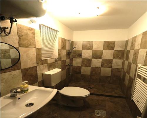 Garsoniera, curte proprie, zona Torontalului