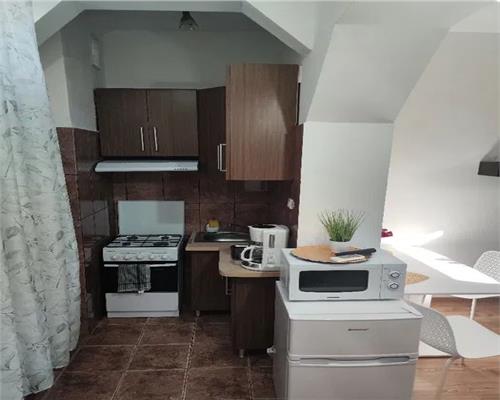 Apartament 2 camere + terasa proprie , centrala proprie , zona Garii
