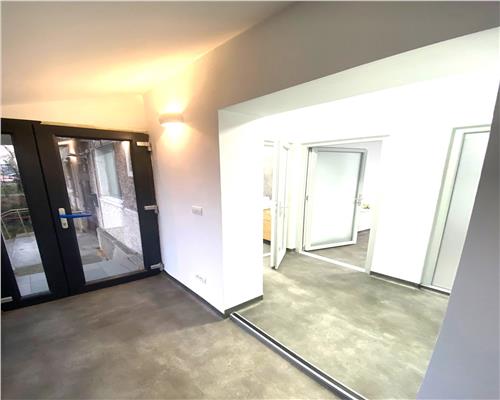 Spatiu comercial, zona Torontalului