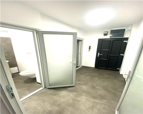 Spatiu comercial, zona Torontalului