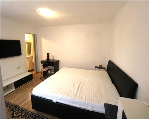 Apartament cu 1 camera, zona Printu Turcesc